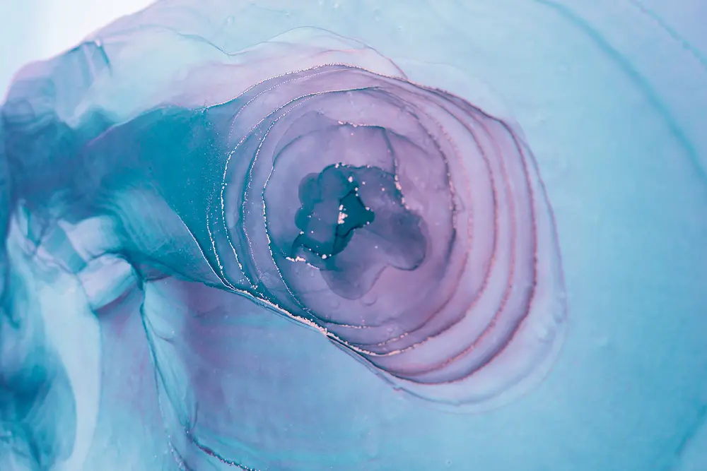 Virus del Papiloma Humano VPH Saludarea.mx